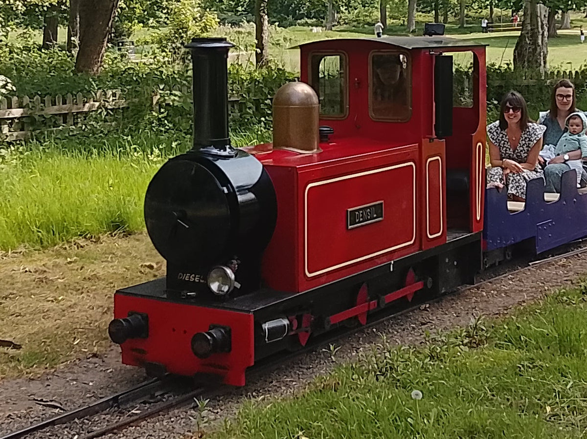 10¼” Steam Outline Locomotive 'Densil'